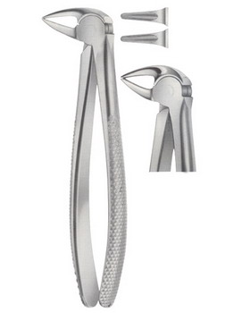 Tooth Extracting Forceps  